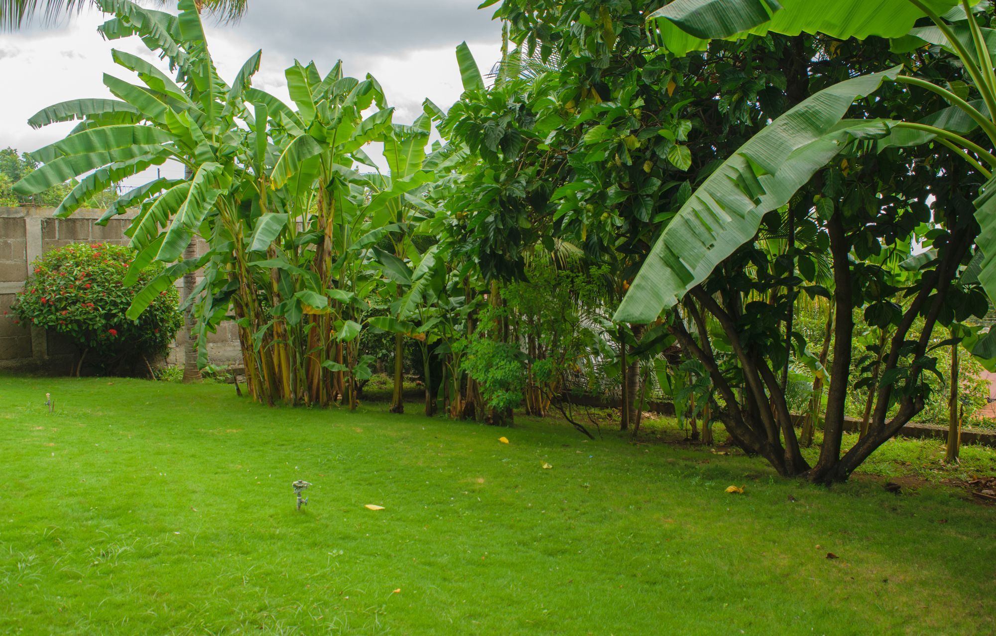 Hotel Fontana Managua Exterior photo